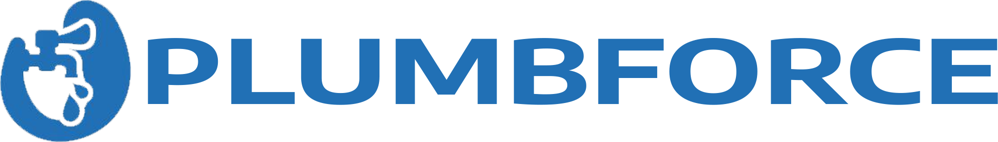 website logo